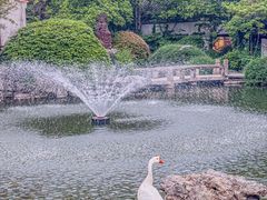 -祝家花園(伯渎港店)