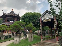 -碧江金楼