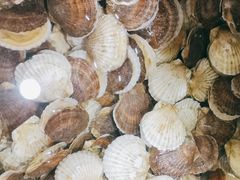 -鑫渔港海鲜本地菜·山海关浑锅(东戴河店)