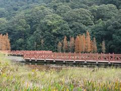 景点-广州市石门国家森林公园
