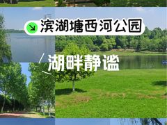 -滨湖塘西河公园