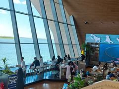 -抱抱地球咖啡馆(国家海洋博物馆店)