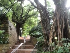 -九龙公园