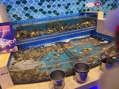 水产区-乔哥铭洋海鲜自助(皇城恒隆广场店)