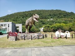 -金钉子远古世界景区