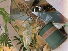 -孟林厨房(798店)