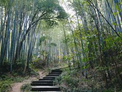 -南山风景名胜区