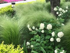 -上海山野camping·户外天幕烧烤·团建拓展营地
