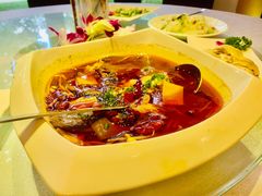 -逸林轩中餐厅(中信泰富朱家角锦江酒店)