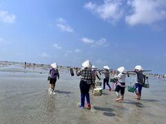 -红树林天天赶海