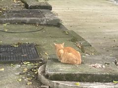 -福建省非物质文化遗产博览苑