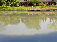 -广富林郊野公园