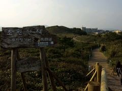 -西归浦每天偶来市场