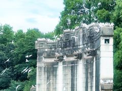-音乐台