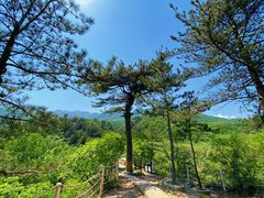 -玉渡山自然风景区