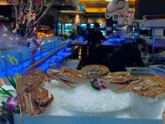 -九月海·海鲜自助(世纪东方店)