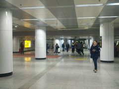 大厅-陆家浜路(地铁站)