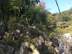 -陶祖圣境风景区