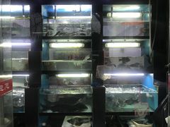 -全乐鱼馆·淳牌有机鱼直营店