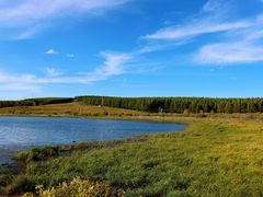 -塞罕坝国家级自然保护区