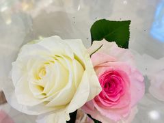 -亭亭鲜花店(中山北路店)