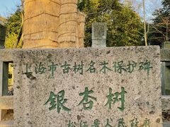 -上海佘山国家森林公园天马山园