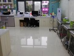 -宠颐生宠物医院·骨外科·犬猫全科诊疗中心(池州店)