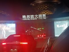 -哈尔滨大剧院