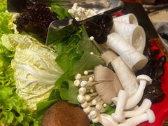 -额尔敦传统涮(公园西路店)