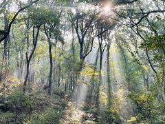 -紫金山山顶公园