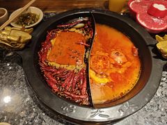 -蜀大侠火锅(建设路第五大道店)