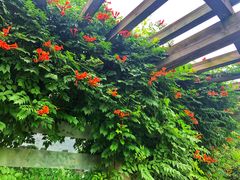-白塘生态植物园