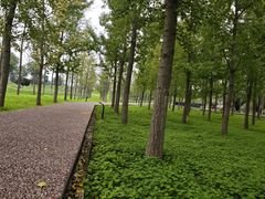 -汉长安城未央宫国家考古遗址公园