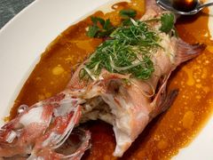 东星斑-金悦轩海鲜城(渔人码头店)