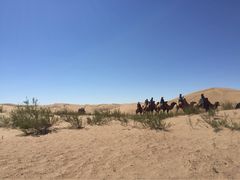 -银肯塔拉沙漠生态旅游景区