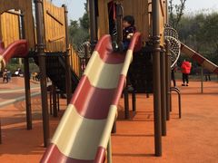 -枫香湖儿童公园