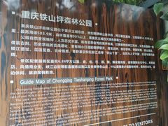 -铁山坪森林公园