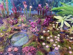 -中国科学院西双版纳热带植物园