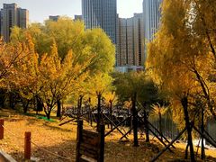 -长春公园(普阳街道)