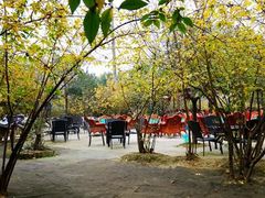 -三圣花乡旅游区