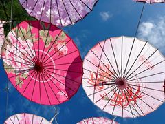 -三亚南山文化旅游区