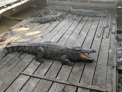 -洞里萨湖