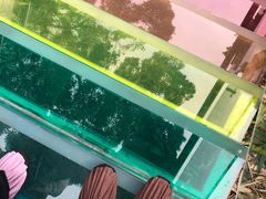 -亚龙湾热带天堂森林公园