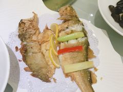 -骏莱海鲜鱼港(五角场店)