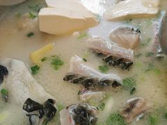 泉水锅底-正能量脆肉鲩火锅