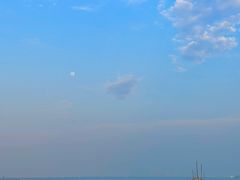 -贡湖湾湿地公园