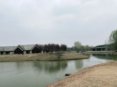 -西安浐灞国家湿地公园