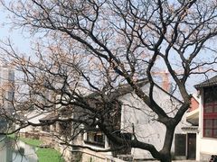 -青果巷历史文化街区
