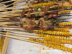 -山野的朋友露营炭火烤肉