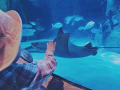 -沈阳海洋探索中心